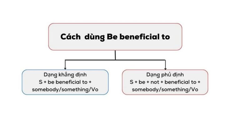 Cấu trúc Be beneficial to: 1 Bí quyết chinh phục giám khảo IELTS bằng ngữ pháp “xịn sò”