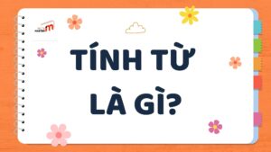 Tính từ là gì?