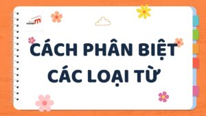 Cách phân biệt danh từ, động từ, tính từ, trạng từ