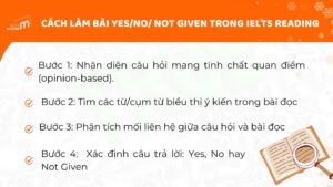 Các bước giải dạng Yes/No/Not given