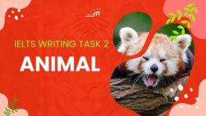 Hướng Dẫn Chi Tiết Viết Bài IELTS Writing Task 2 Chủ Đề Animal