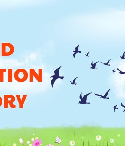 Đáp án Bird Migration Theory