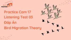 dap-an-bird-migration-theory