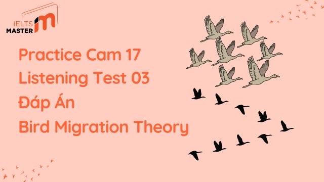 dap-an-bird-migration-theory